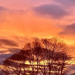 Meet your Posher, Audrey